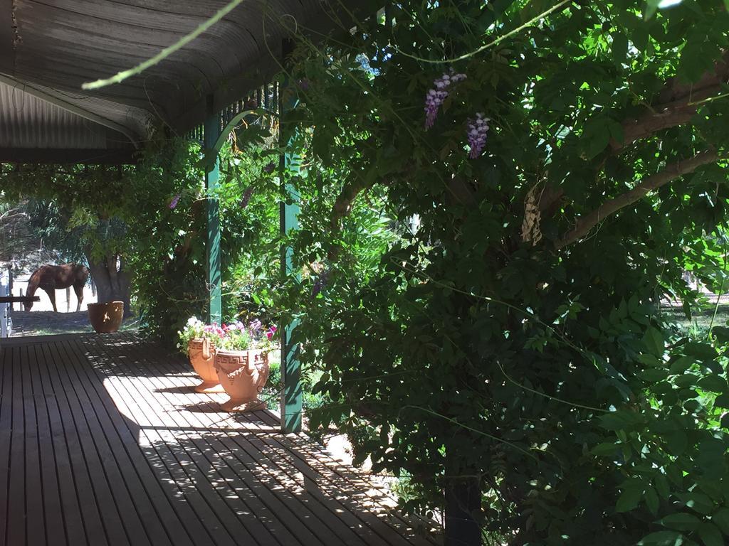 Birchwood Cottage Yarck المظهر الخارجي الصورة