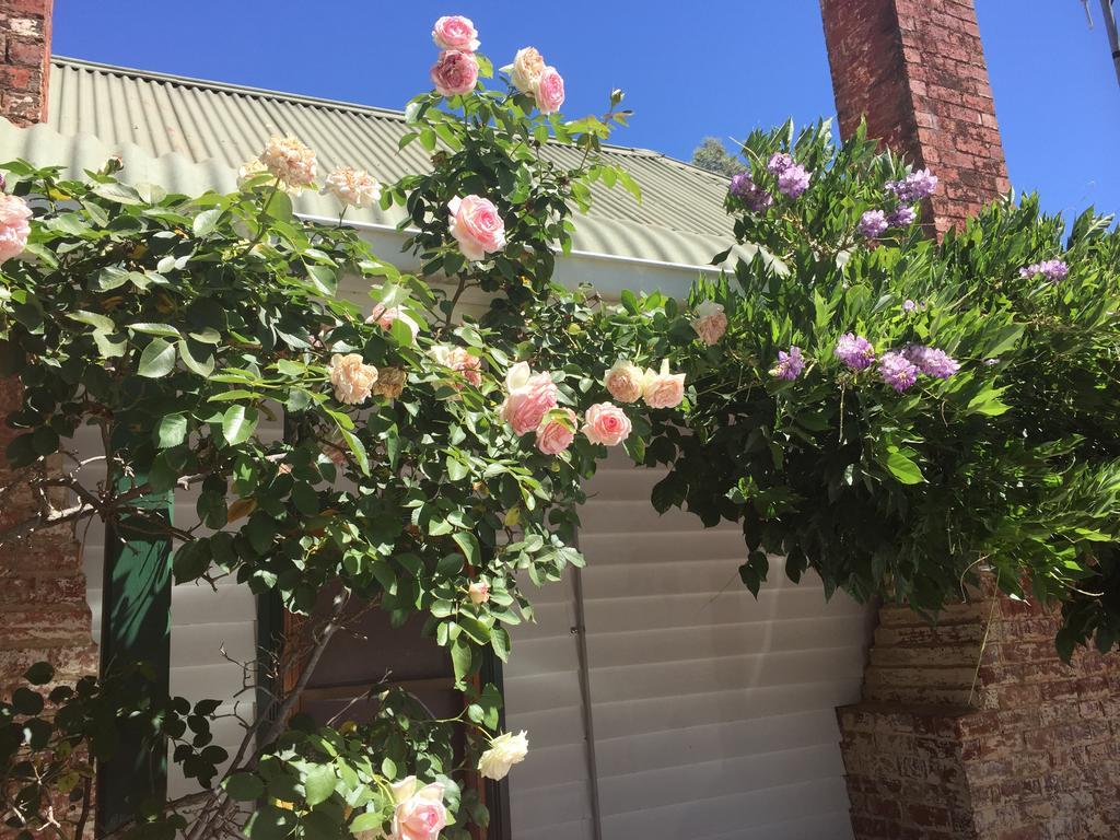 Birchwood Cottage Yarck المظهر الخارجي الصورة